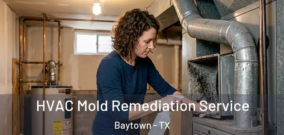  HVAC Mold Remediation Service Baytown - TX
