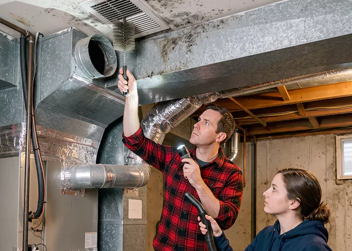 Premier HVAC Mold Remediation Company in Baytown